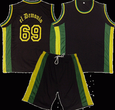 Trikot und Short / Jersey and Shorts